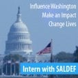 Saldef Internship