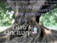 sanctuary