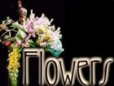ValleyofFlowers