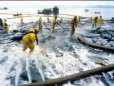 oilspill