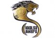 Khalsa Bikers