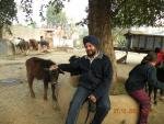 Sukwinder singh's picture