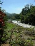 Balraj Singh T.'s picture