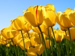 gurdeep70singh's picture