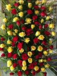 Inder preet's picture