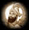 Guru Gobind Singh ji