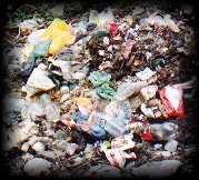 Garbage behind Gurdwara