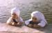 Sikh Children at the Darbar Sahib